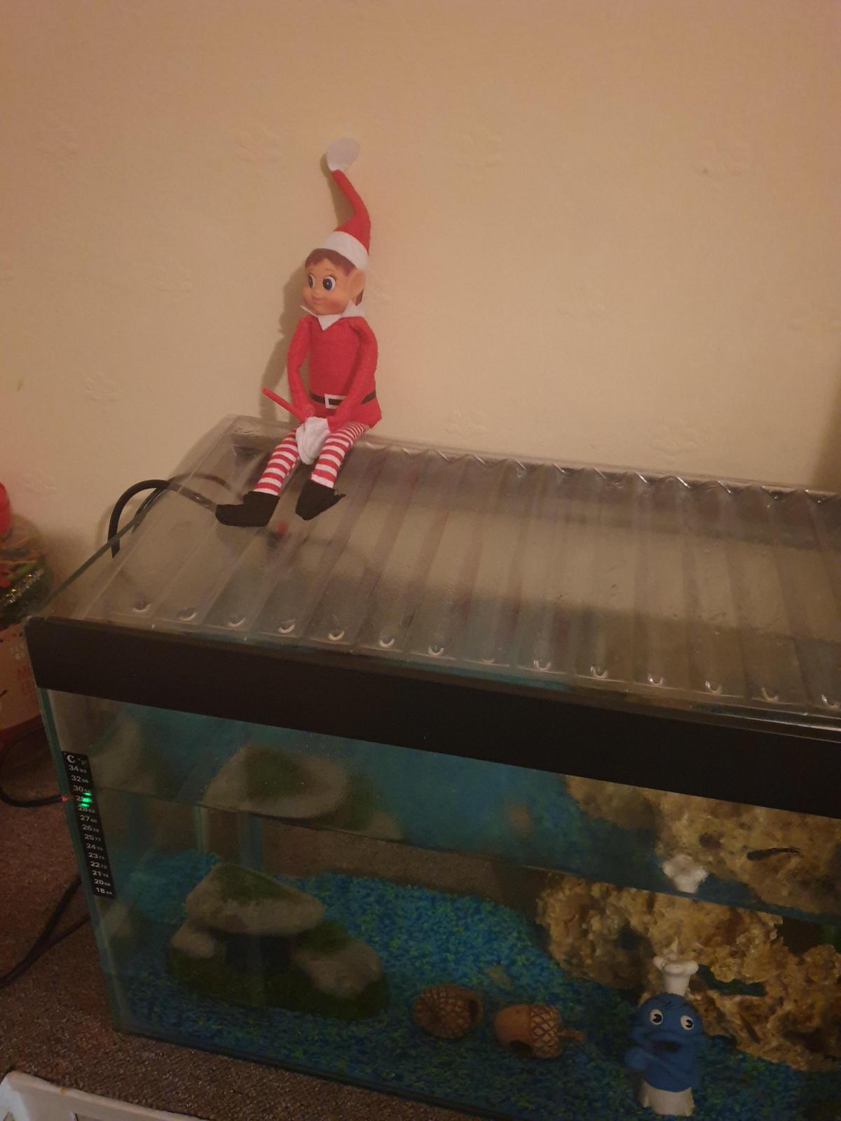 Elf On The Shelf And Christmas Elves 2019 Ideas To Try This