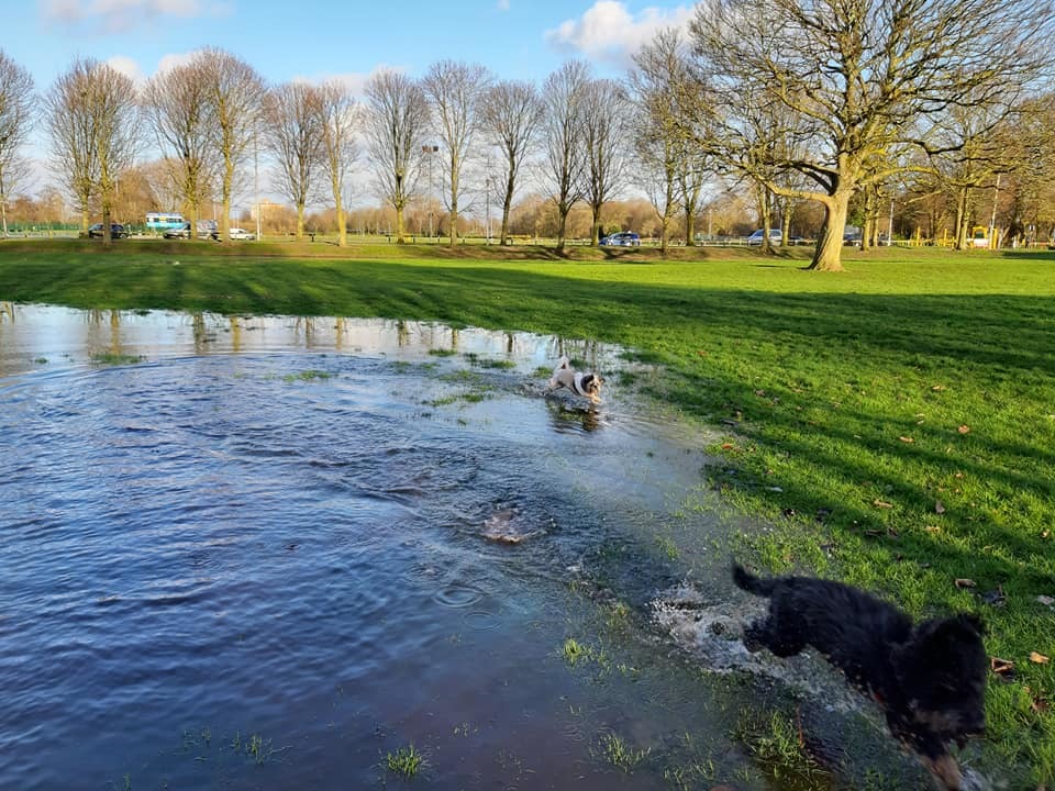 Victoria Park (Chloe Dickenson)