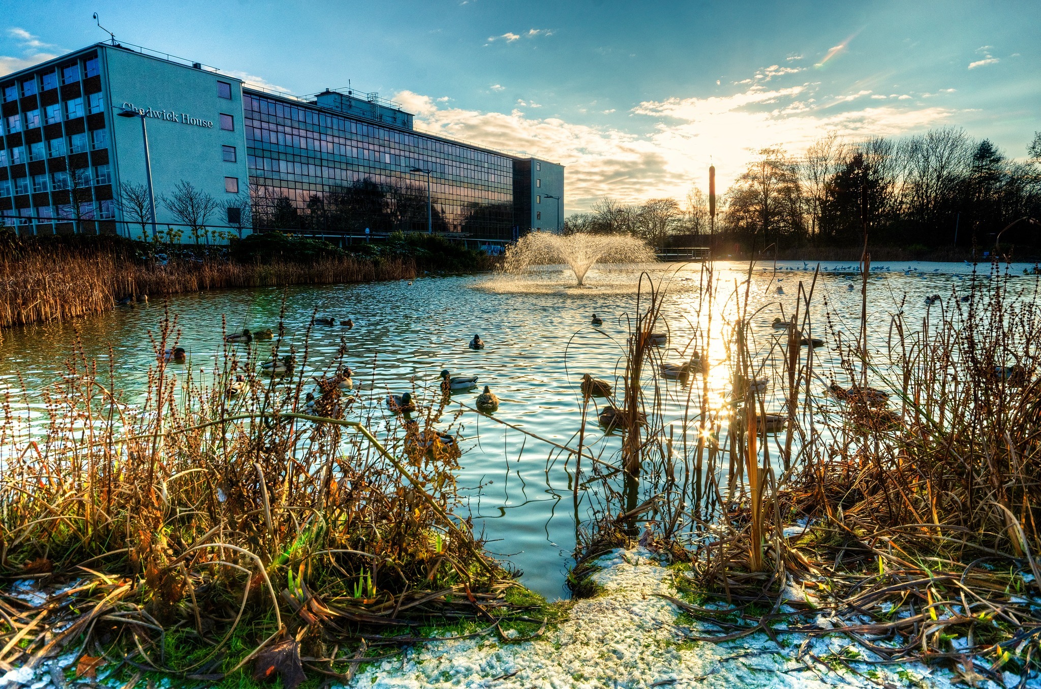 Birchwood Park (Sean Ansel Nolan)