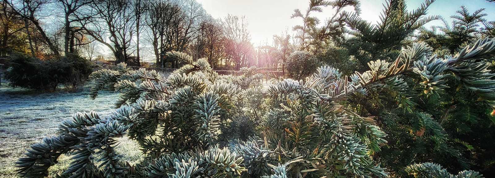 A winters morning frost covers Orford Park (Tony Crawford)