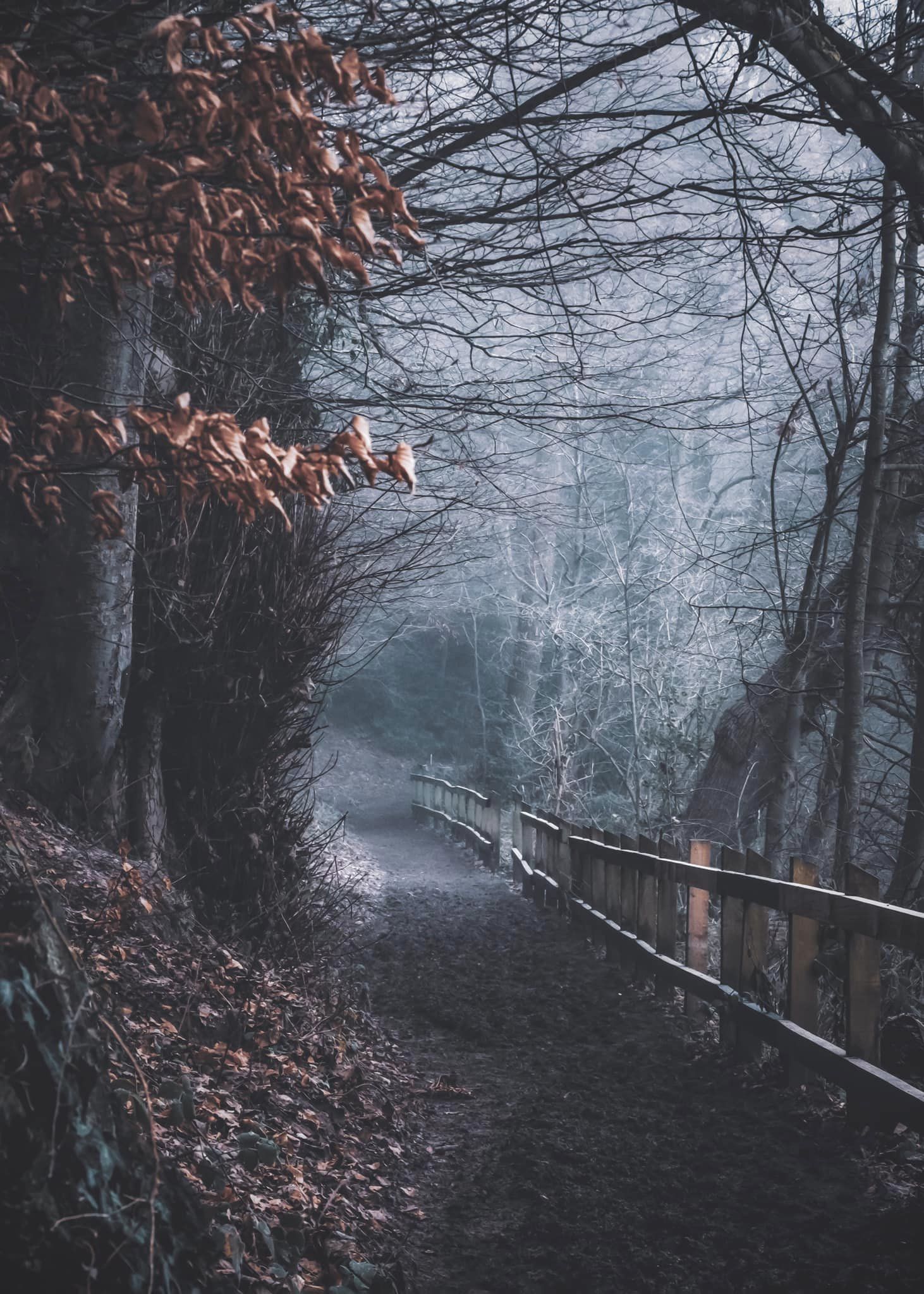 A cold and foggy morning at Lymm Dam