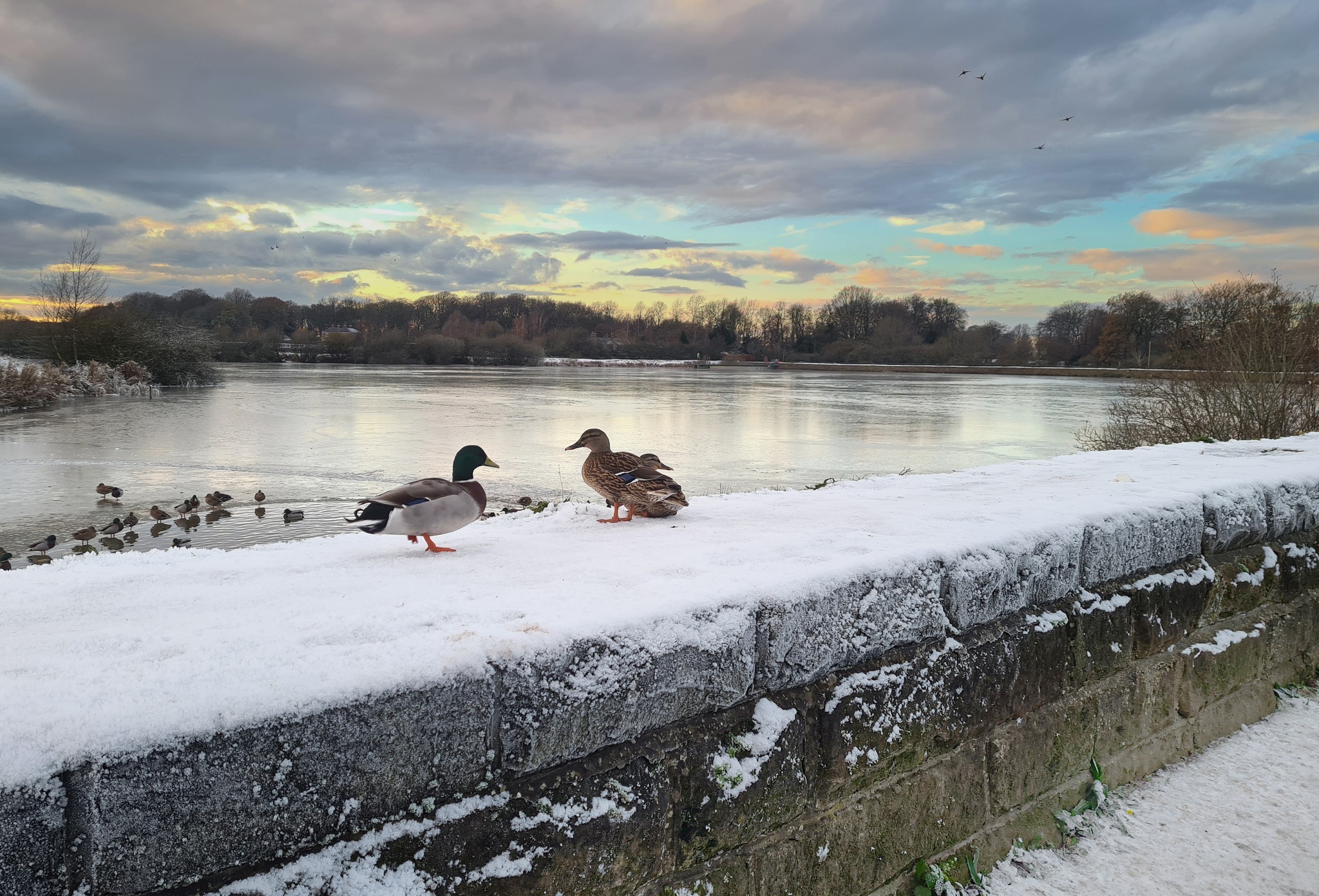 Its cold at Appleton Reservoir by Ray Tickle