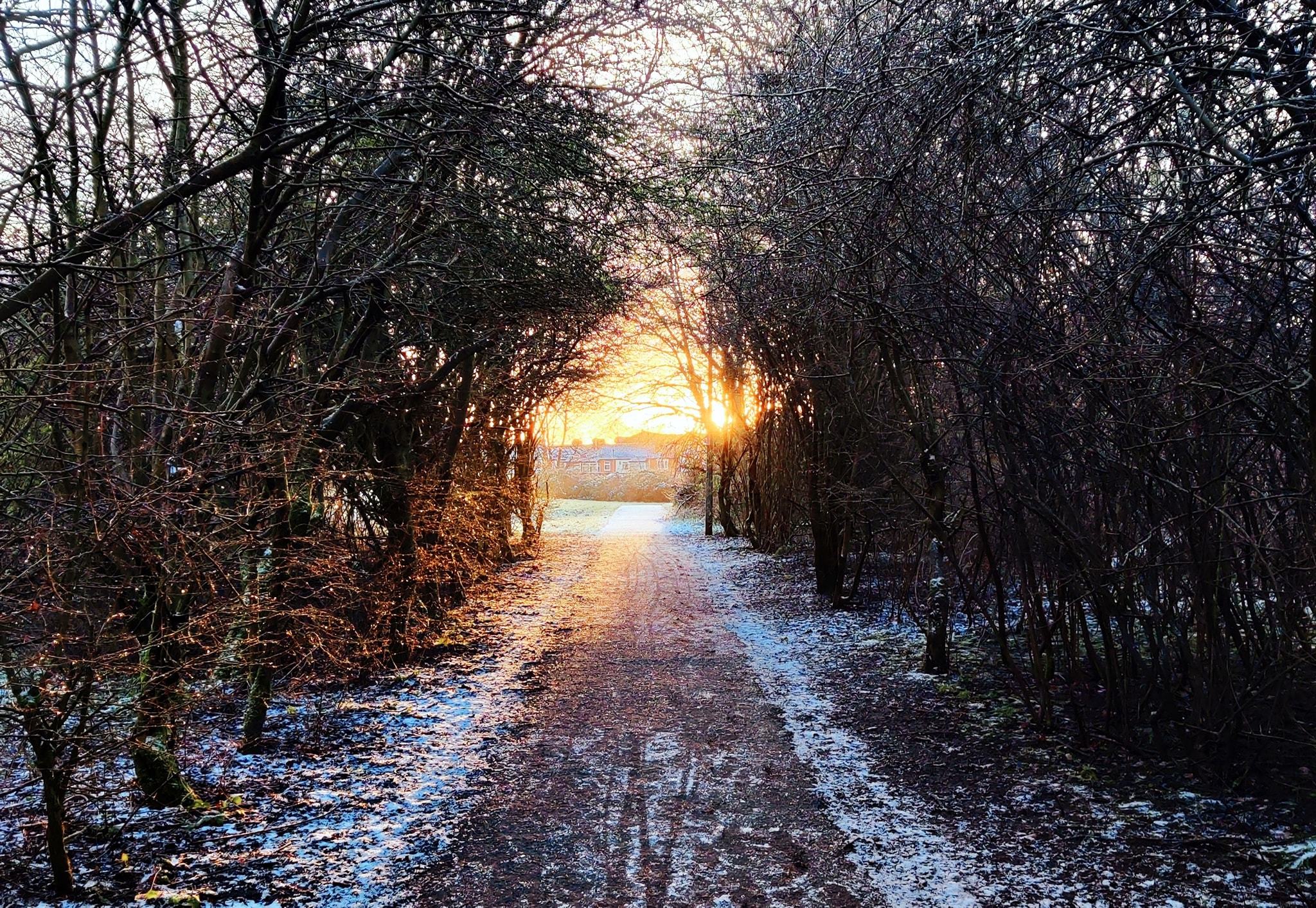 Melting snow in Sankey Valley Park by Maria Paholik