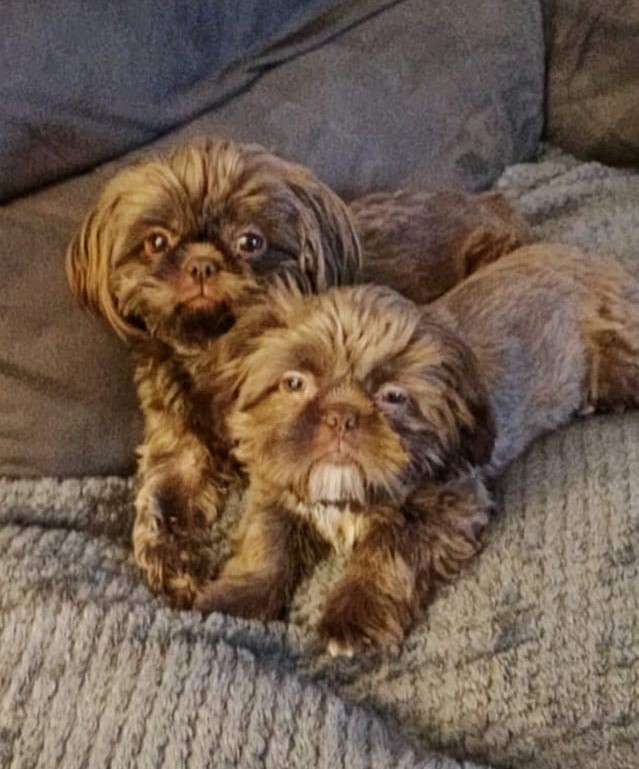 Three-year-old Coco and six-month-old Alfie