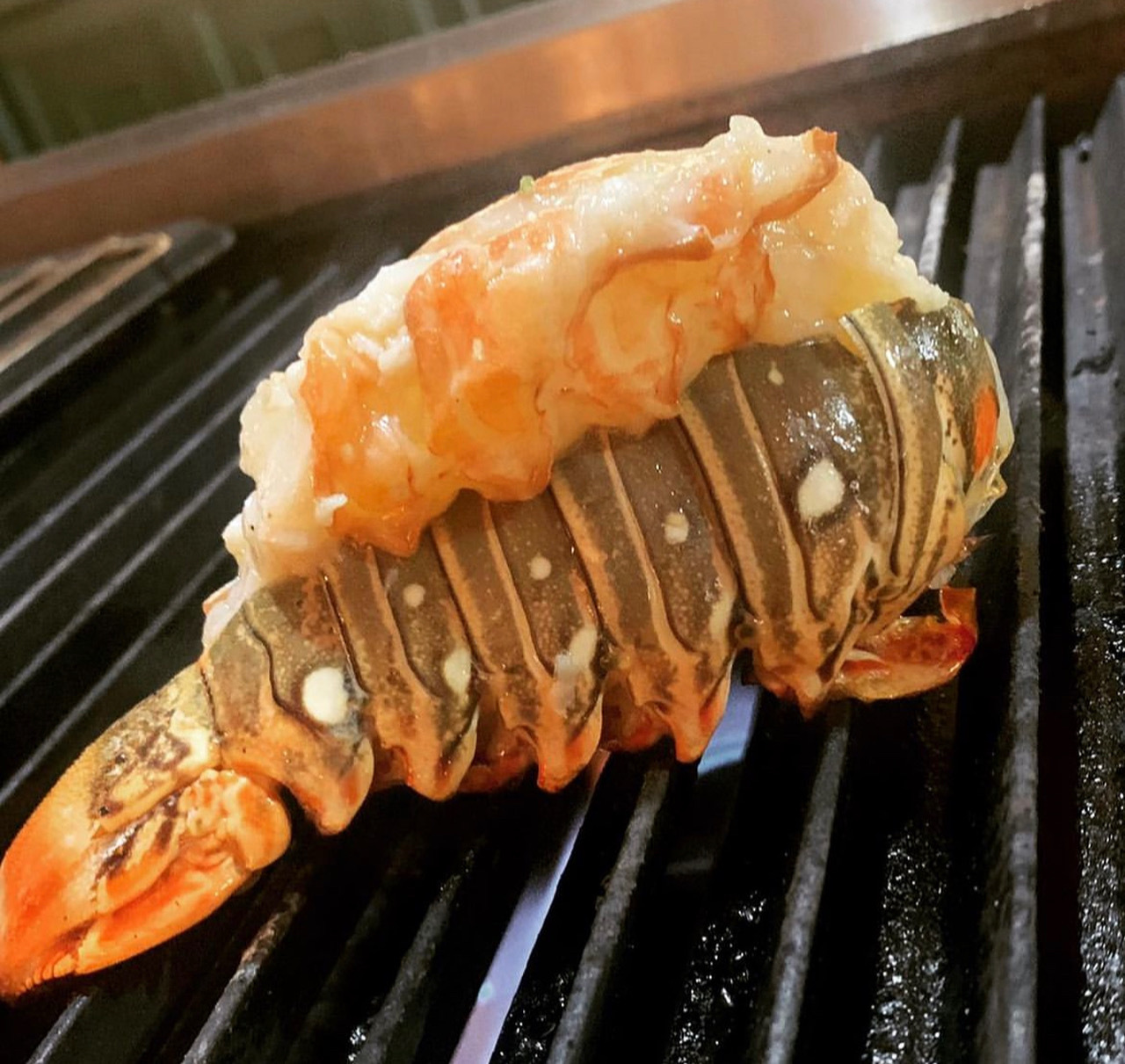 Chargrilled lobster tail served with garlic butter