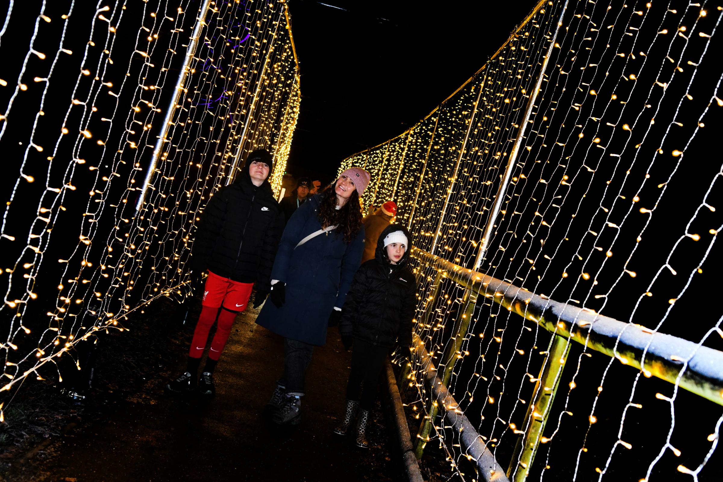 Luminate runs through December at Walton Gardens