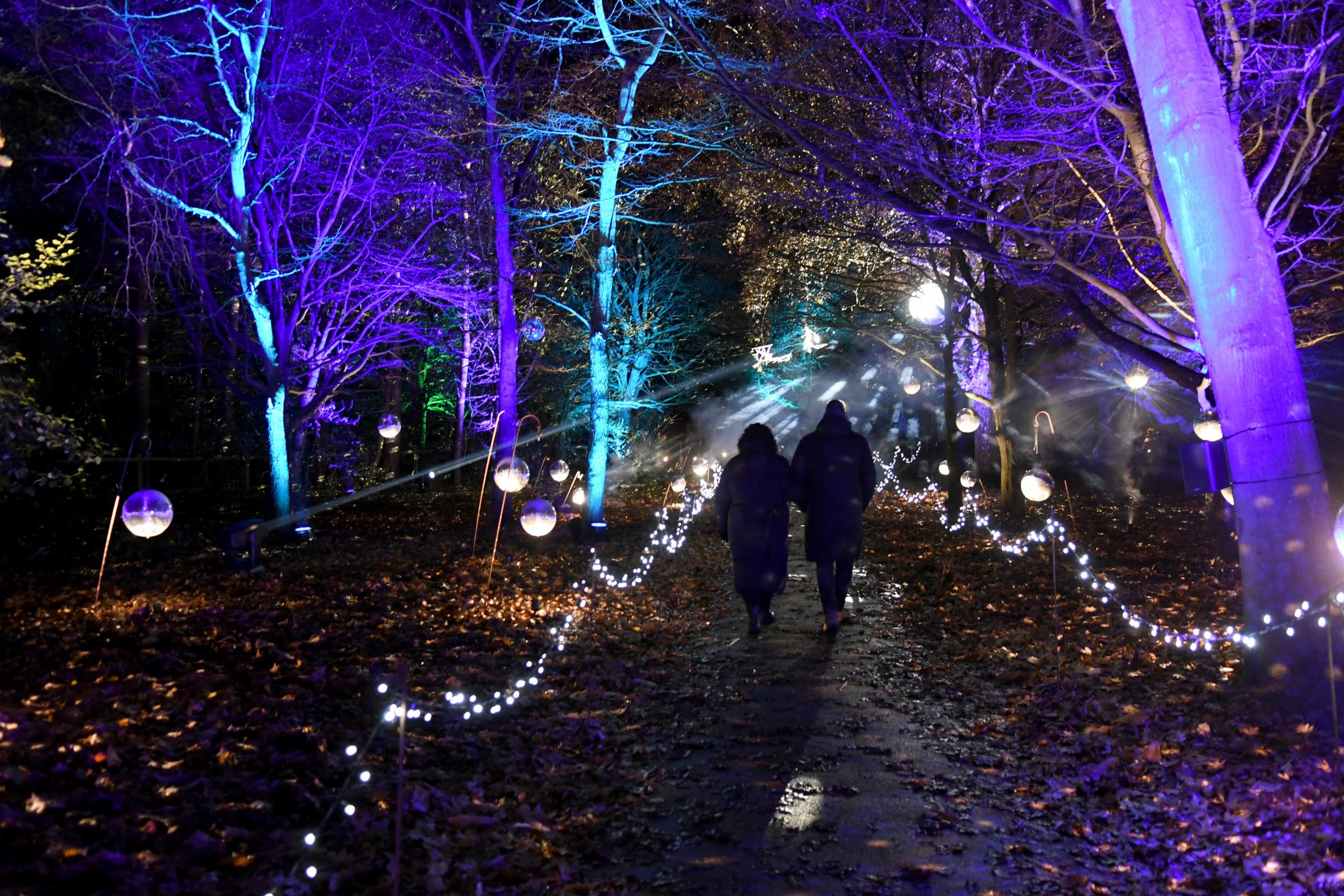 Luminate runs through December at Walton Gardens