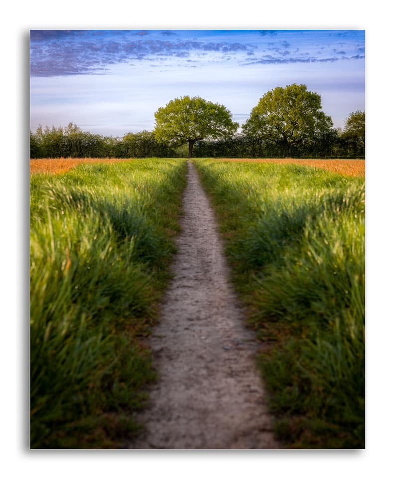 Fields near Winwick by Ben Mcdonald