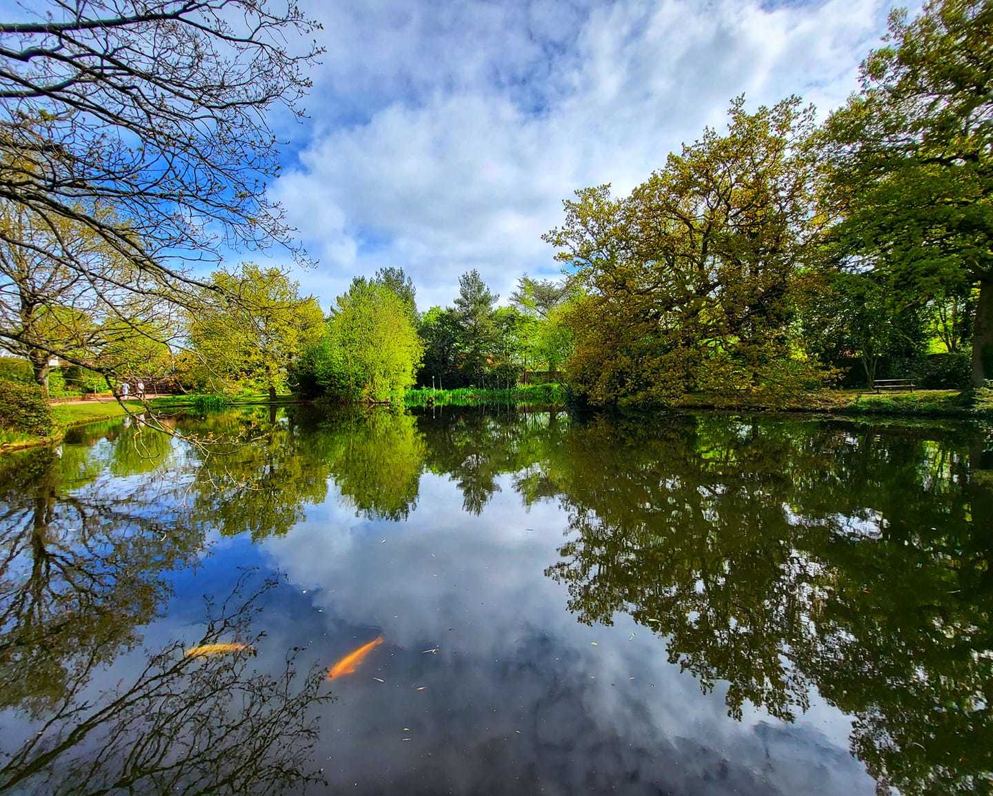 Grappenhall Heys Walled Garden by Tony Crawford