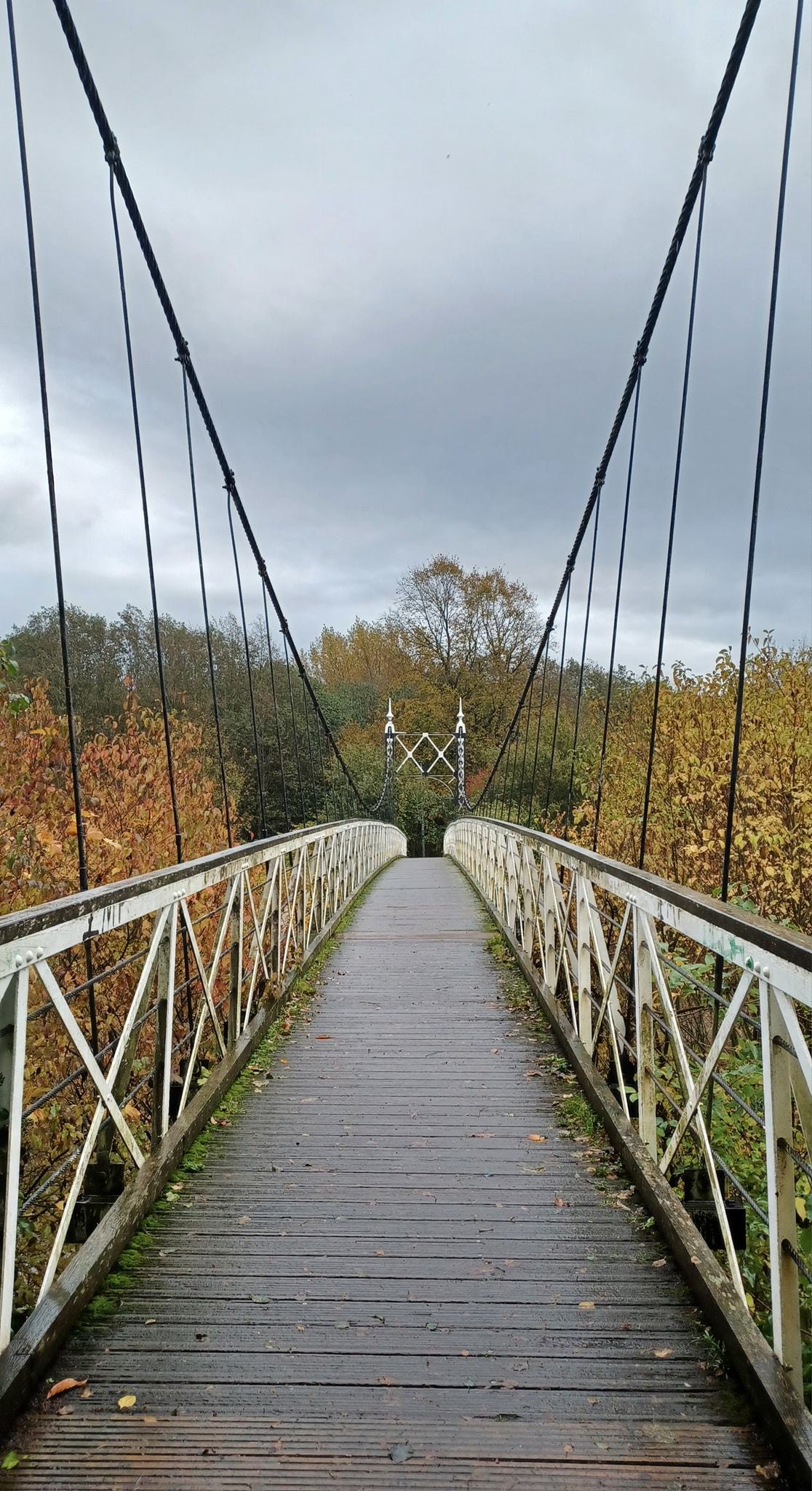 Howley suspension bridge by Michal Tomašik