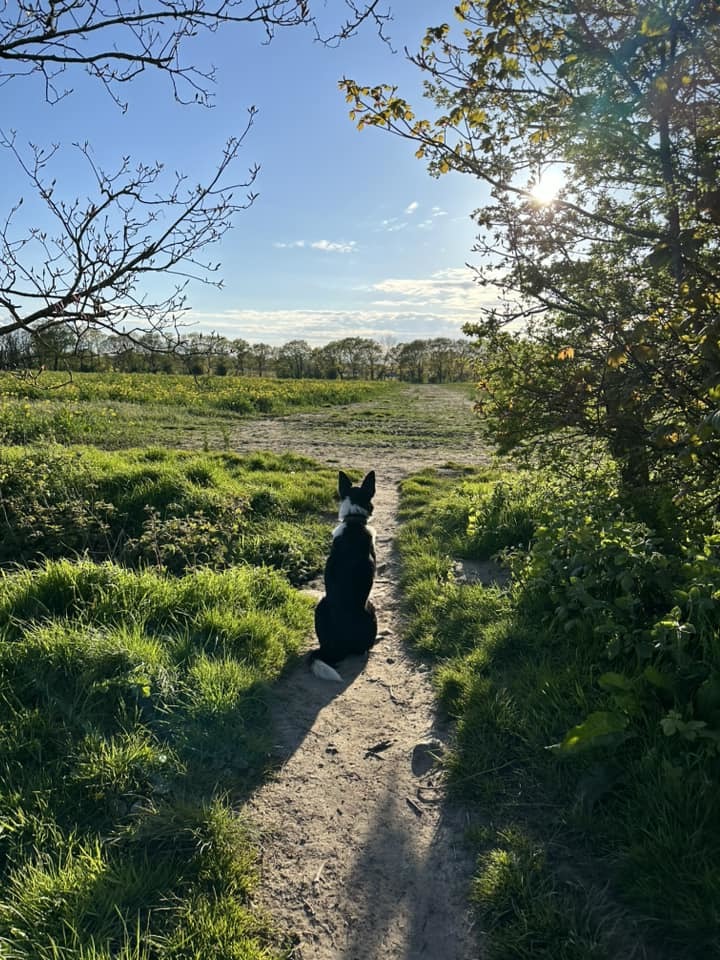 Culcheth fields by Heather Peddie