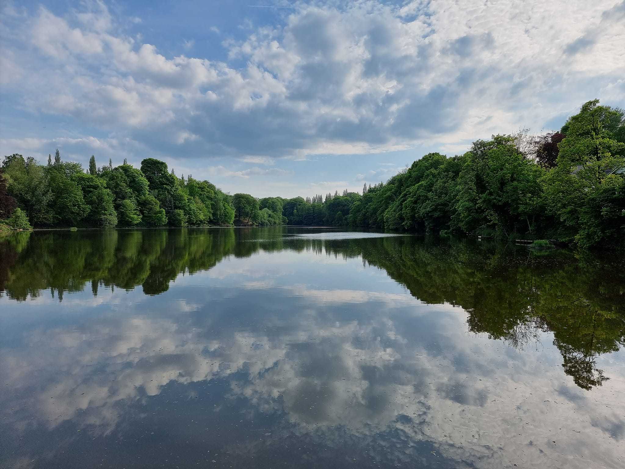 Lymm Dam by Suzy Makin