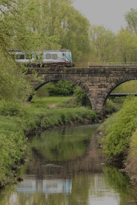 Sankey Valley Park by Colette Ellison