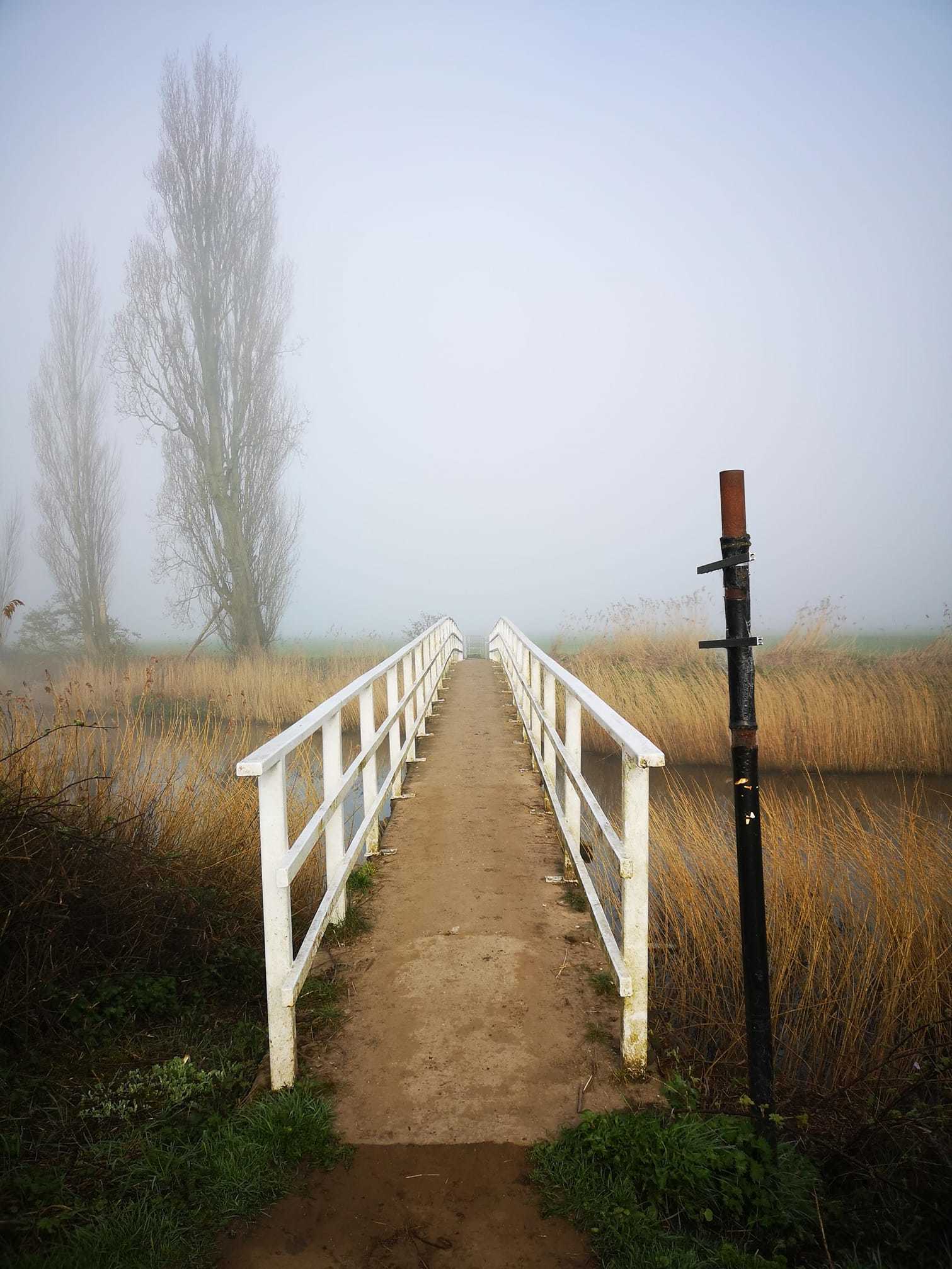 Acton Bridge by Jayne Savage