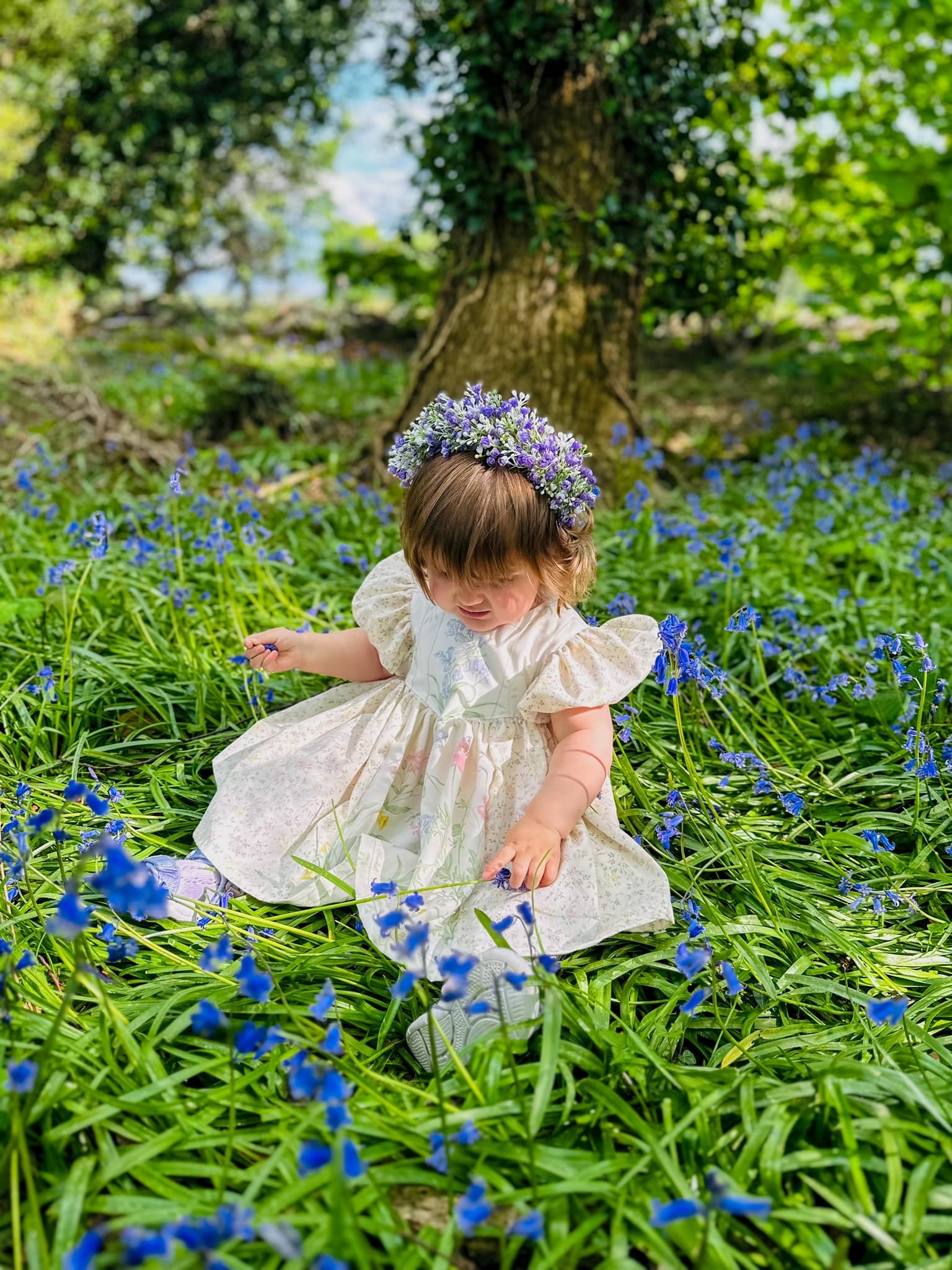 Among the bluebells by Zara Booth