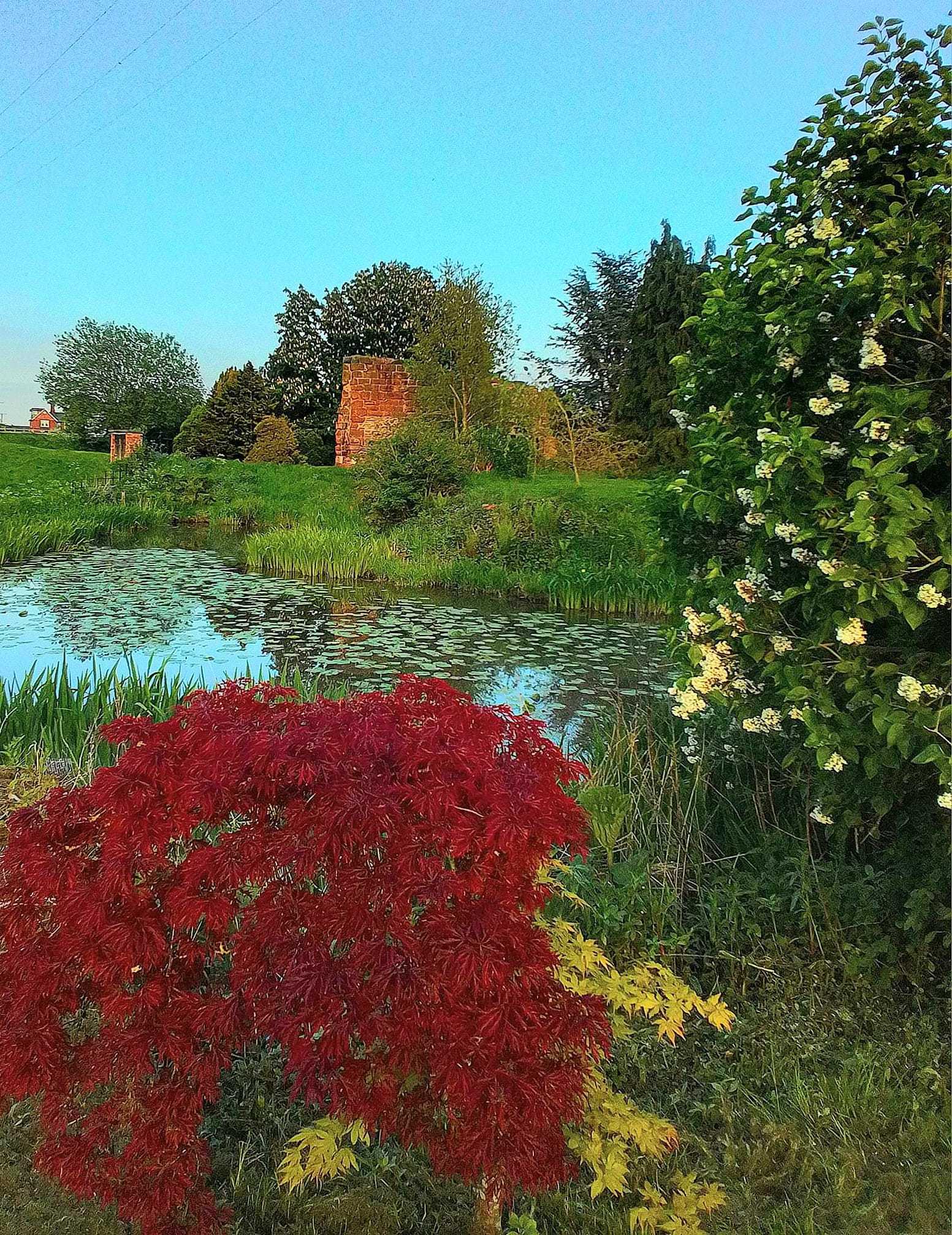 Burtonwood farm by Diane Warburton