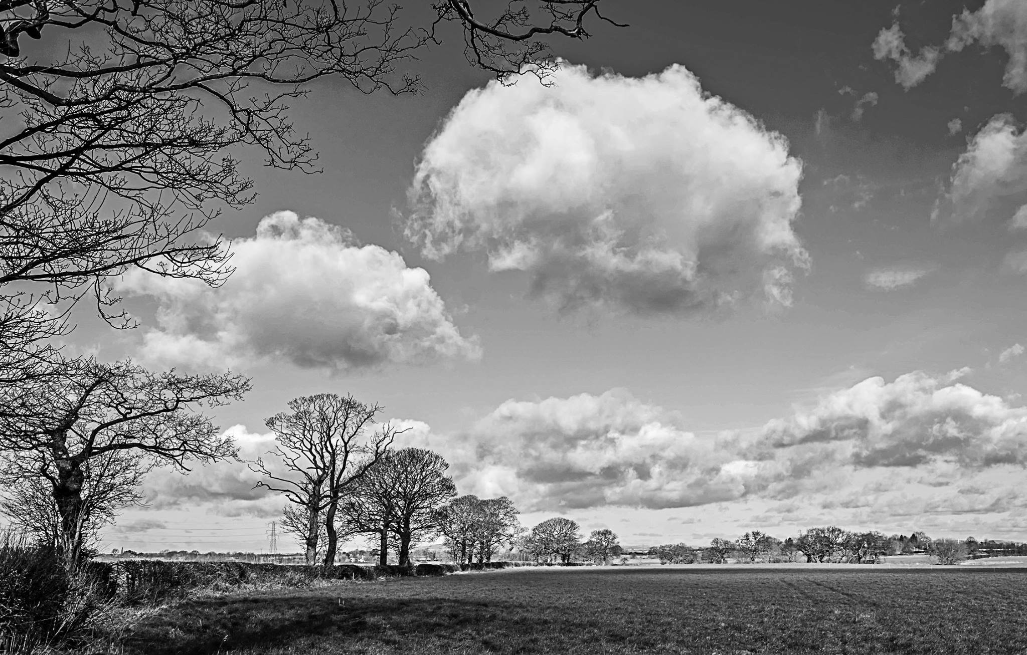 Winter in Spring Lane, Lymm by Chris East