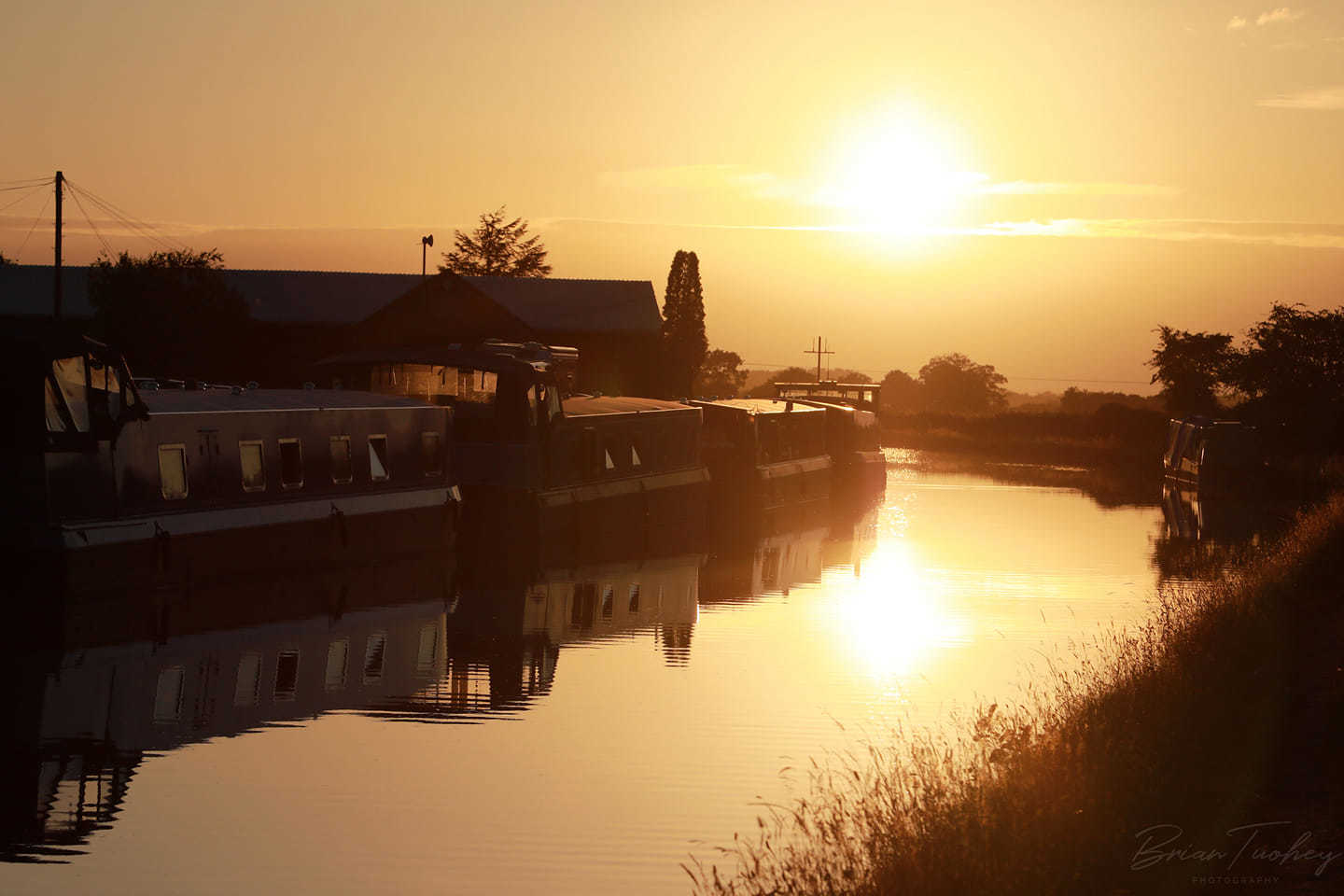 Bridgewater Canal near Lymm by Brian Tuohey