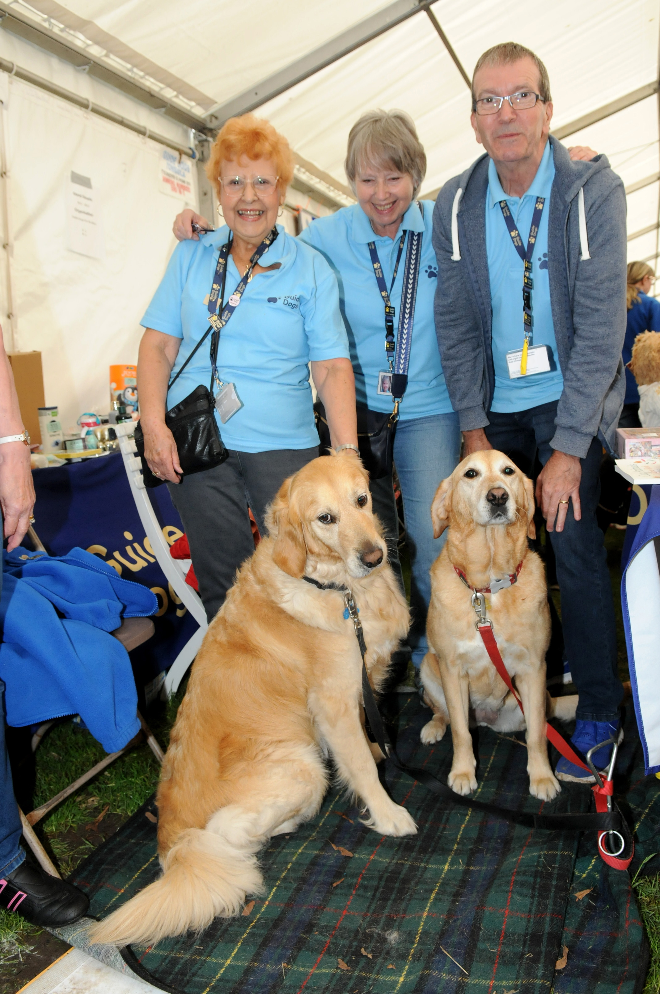 The Guide Dog stand at DAD