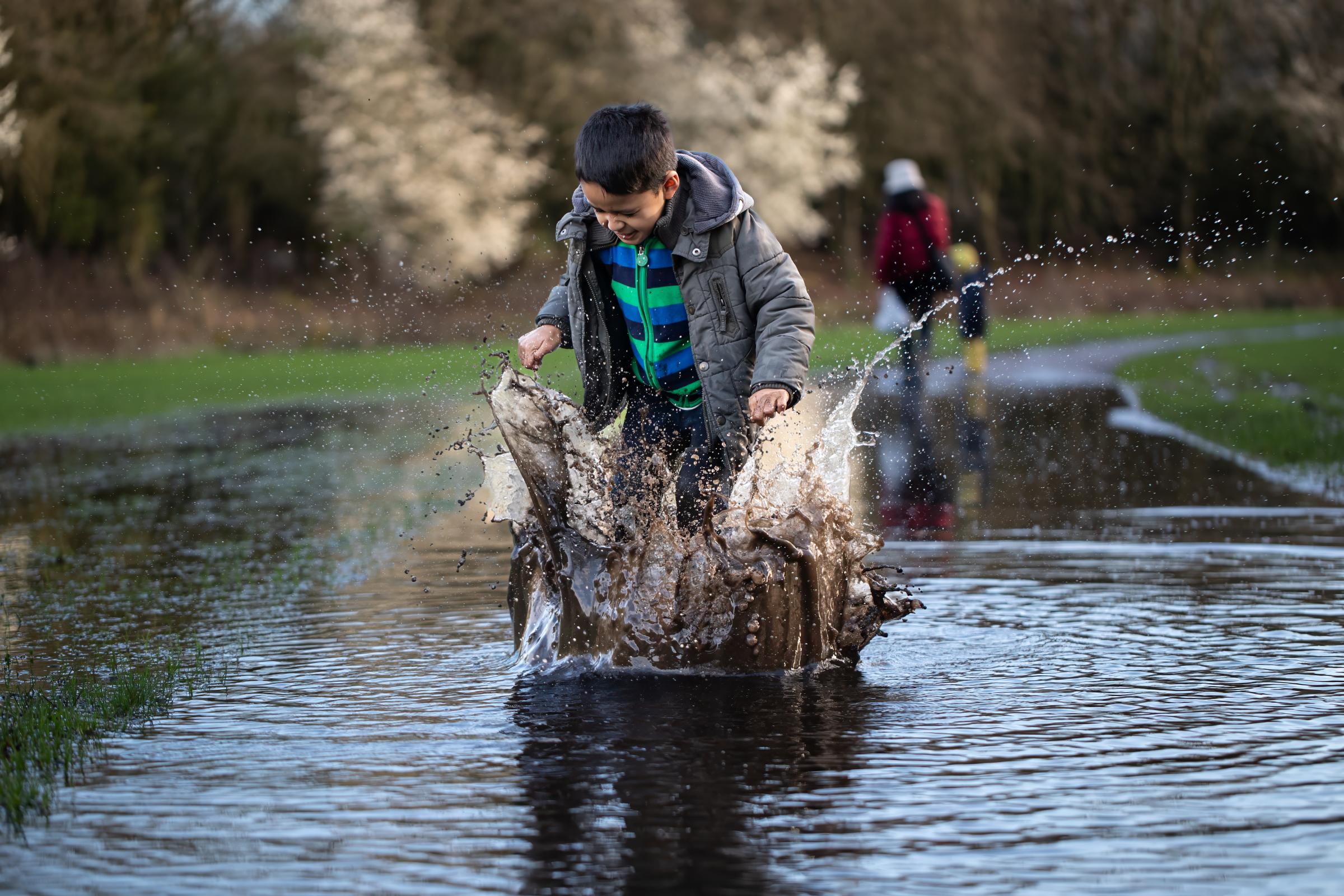 Muddy puddles in the park