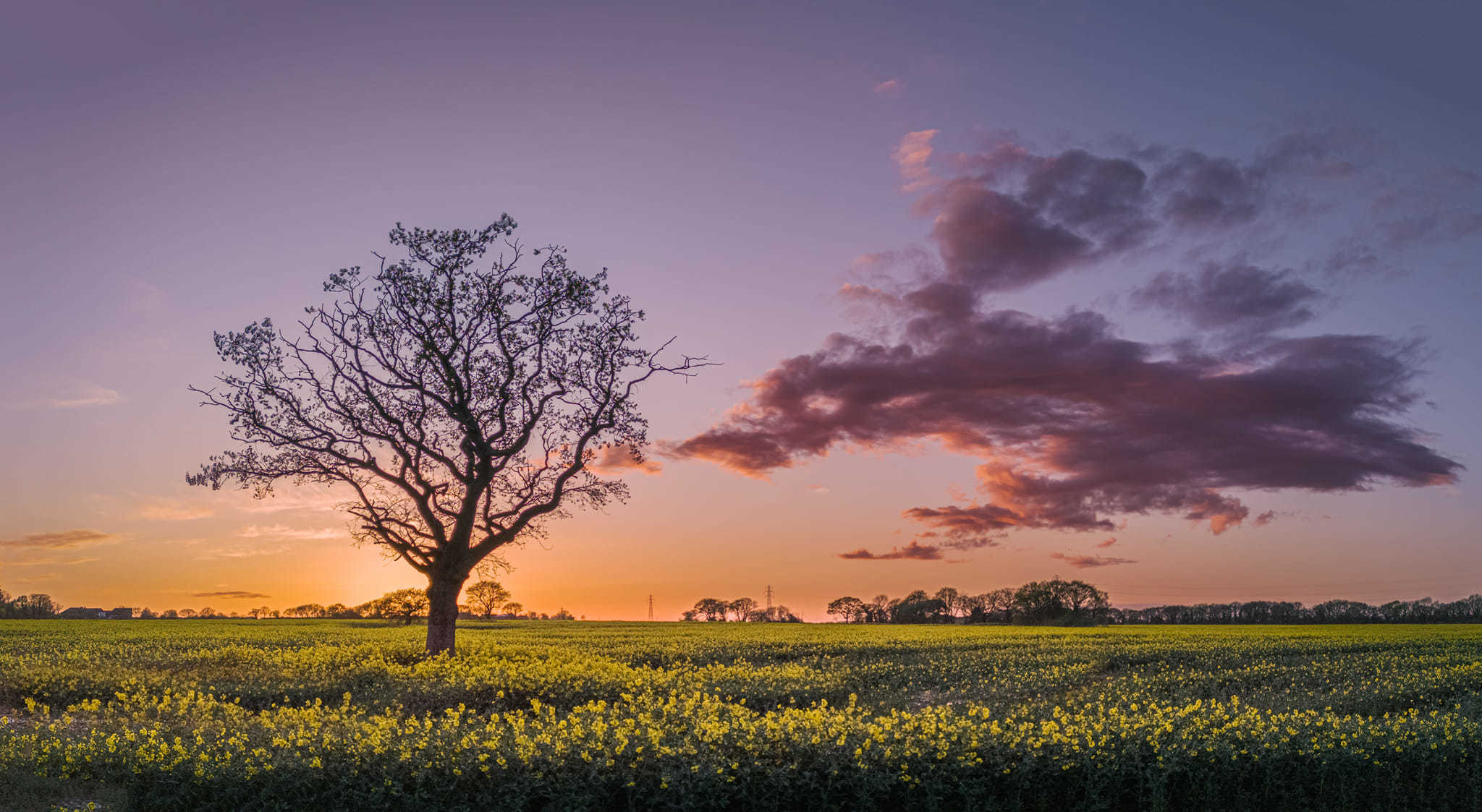 Burtonwood sunset by Allan Mason