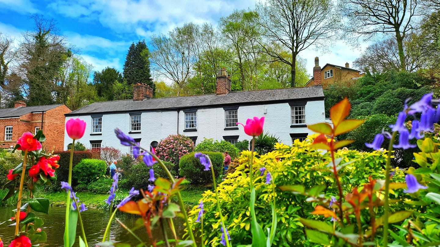 Lymm life by Tony Crawford