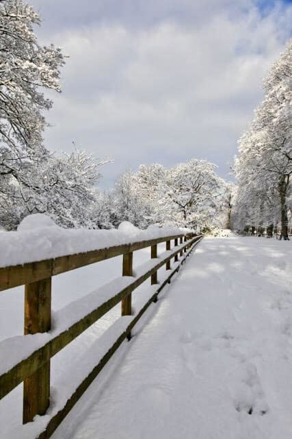 Walton Gardens by John Bradford