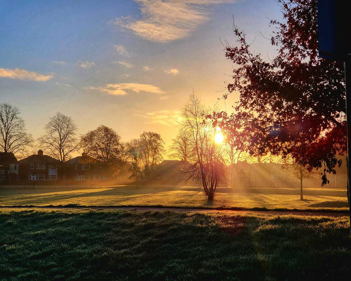 Orford Park morning mist by Tony Crawford