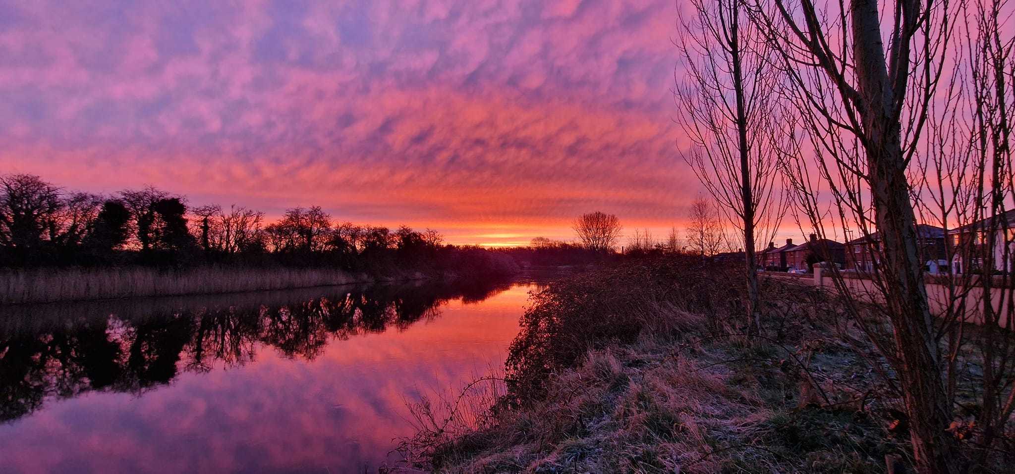 Colourful skies by NIckie Gordon Bennett