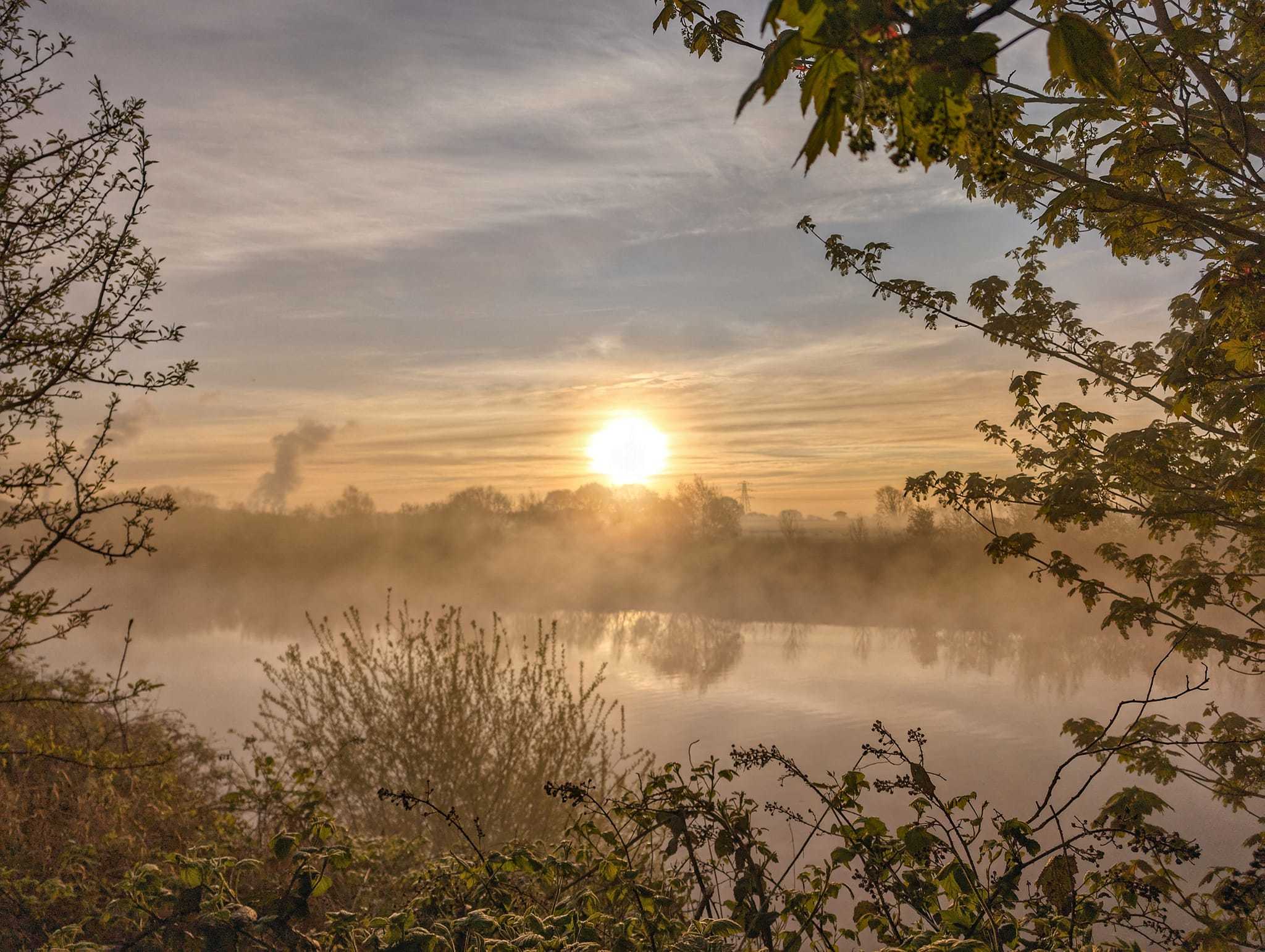 Misty morning in Warburton by Tony Harnett