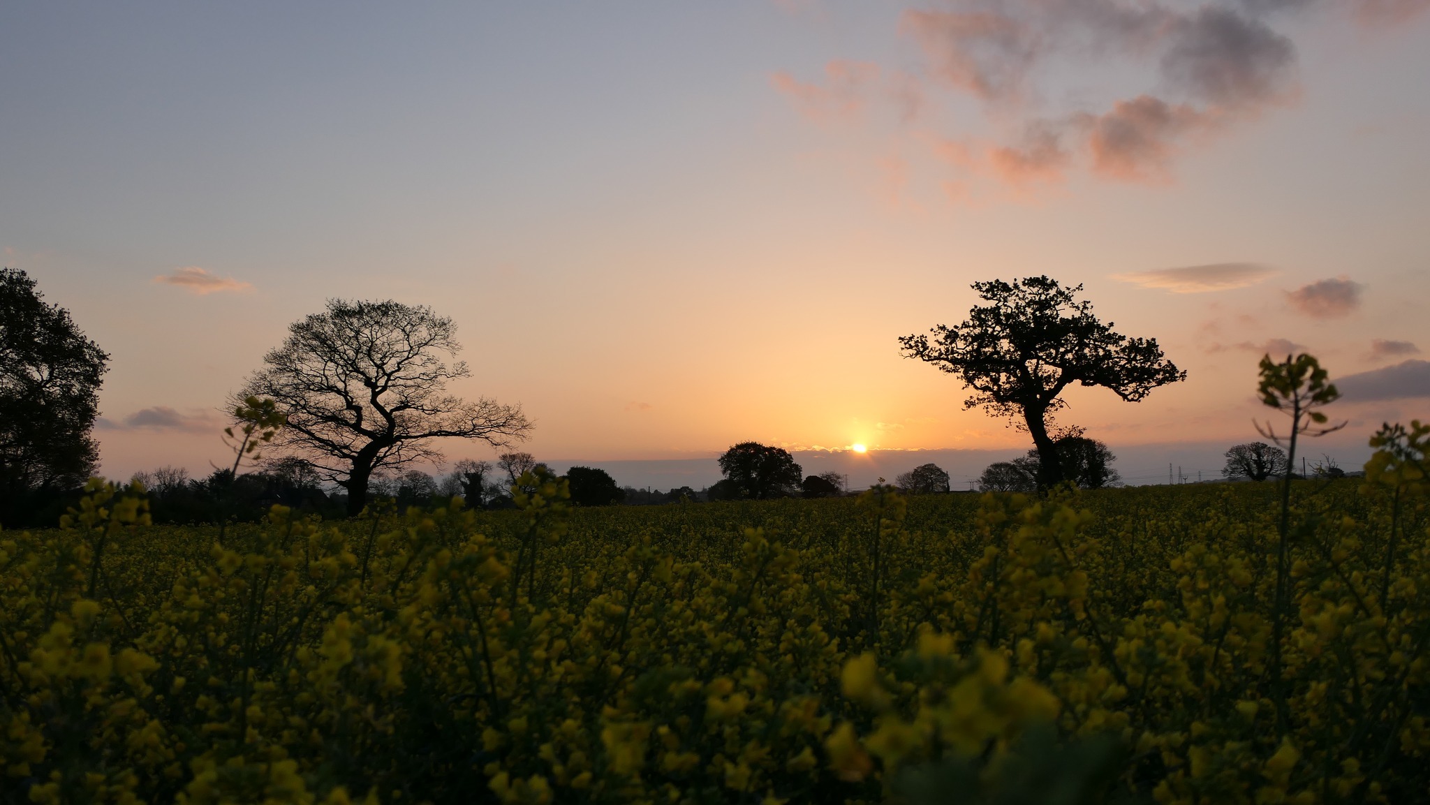 Sunrise over Oughtrington fields by David Noble