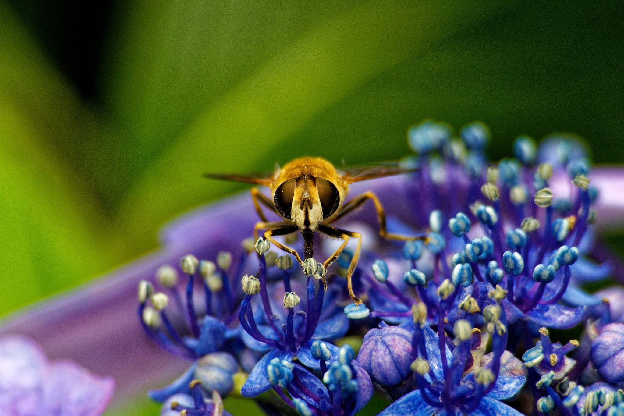 I see you by Neil Stanley