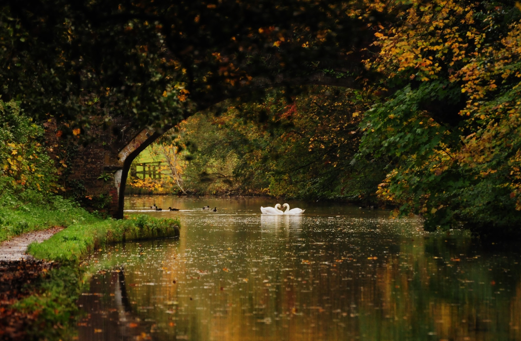 Along the canal at Lower Walton by Darren Moston