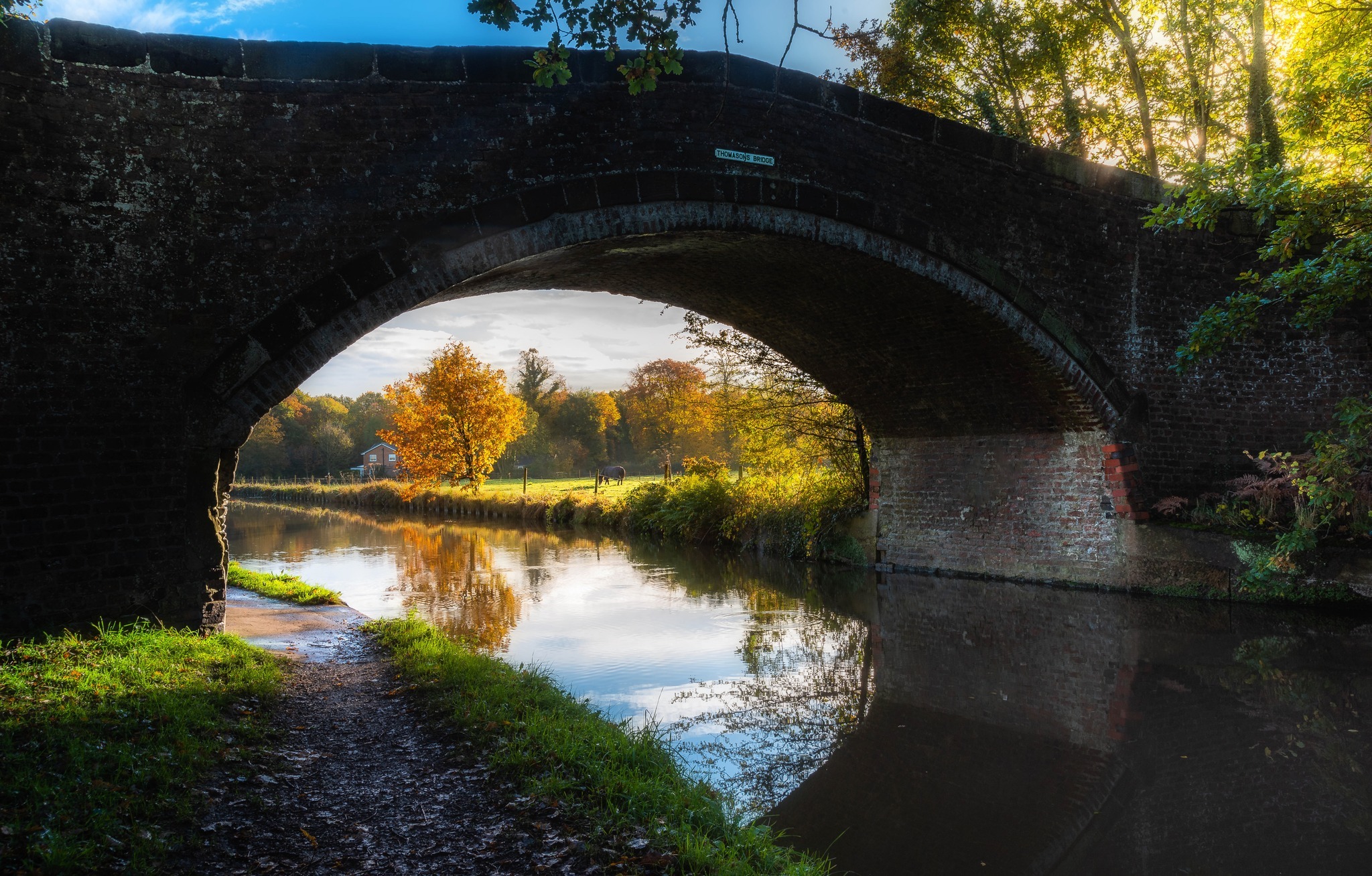 Bridgewater canal by Tamas Beck