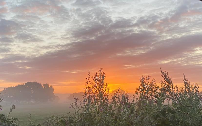 Culcheth fields by Warrington Guardian Camera Club member