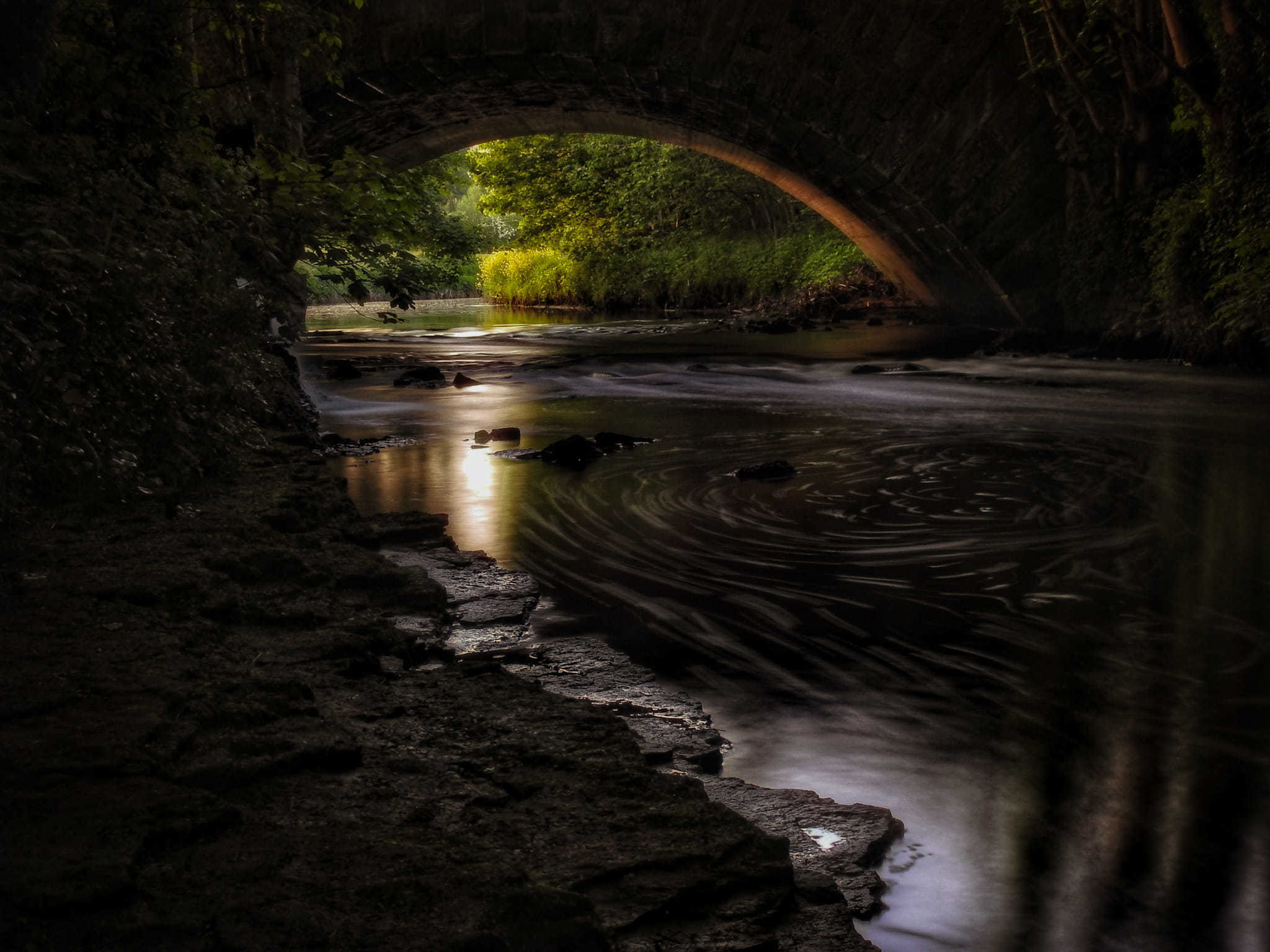 Down by the river, Rixton by Tony Harnett