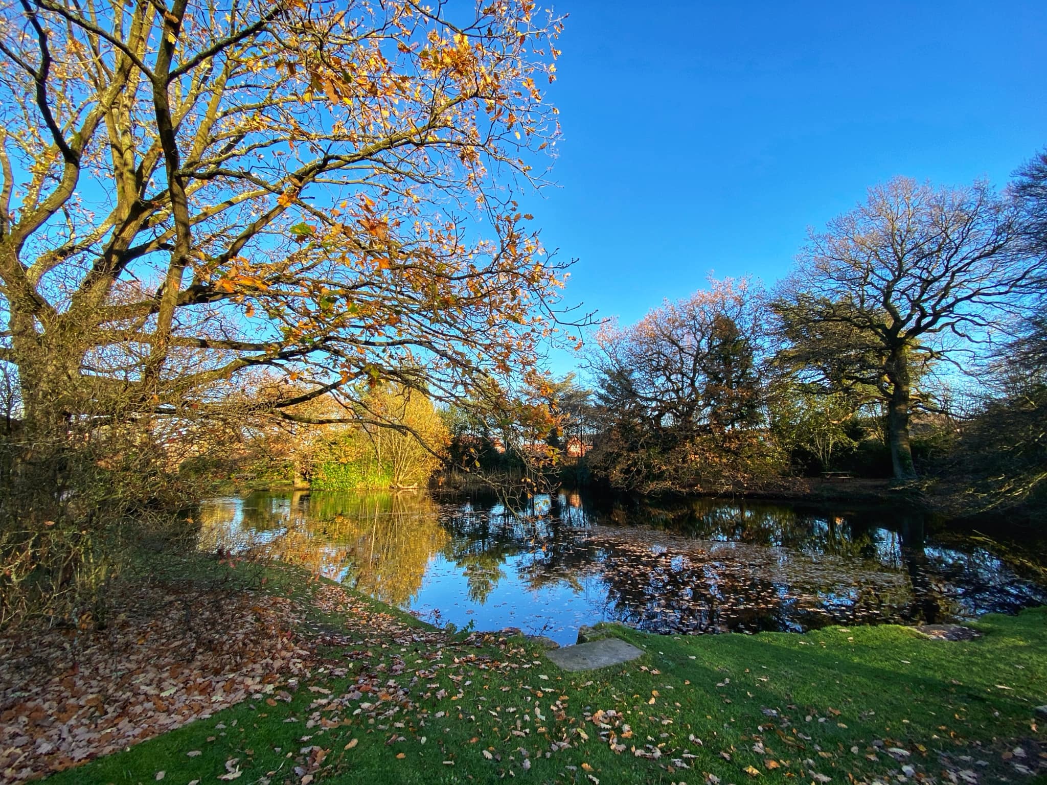 Grappenhall Heys Walles Garden by Sue Lawless