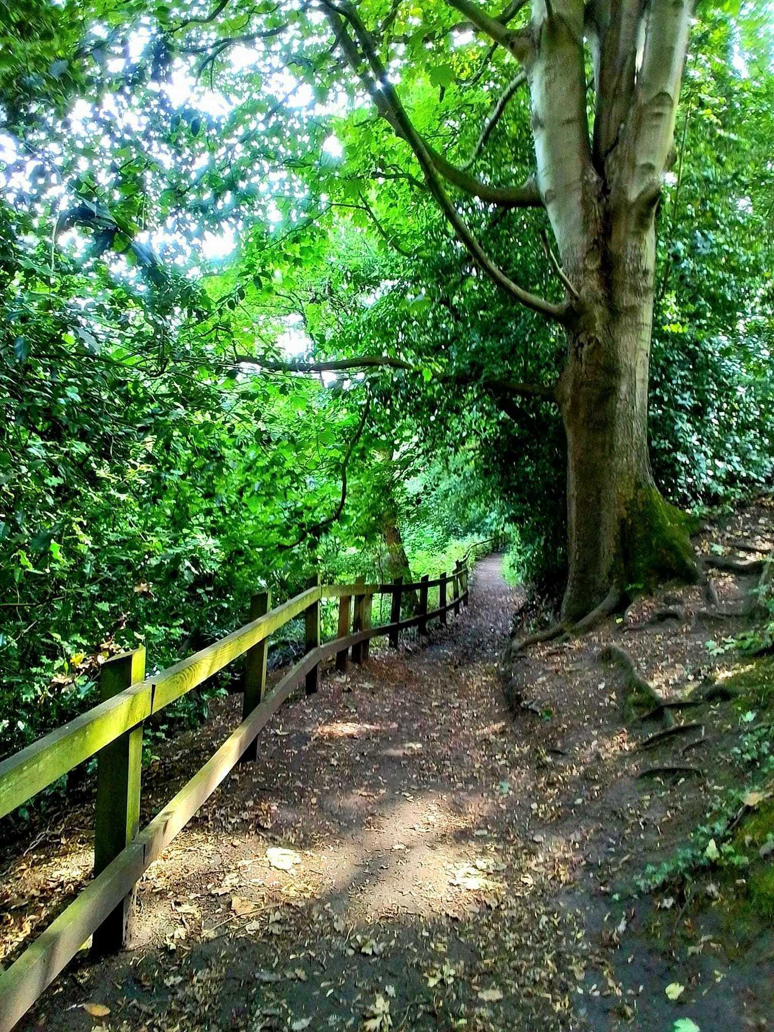 Lymm Dam by Diane Warburton