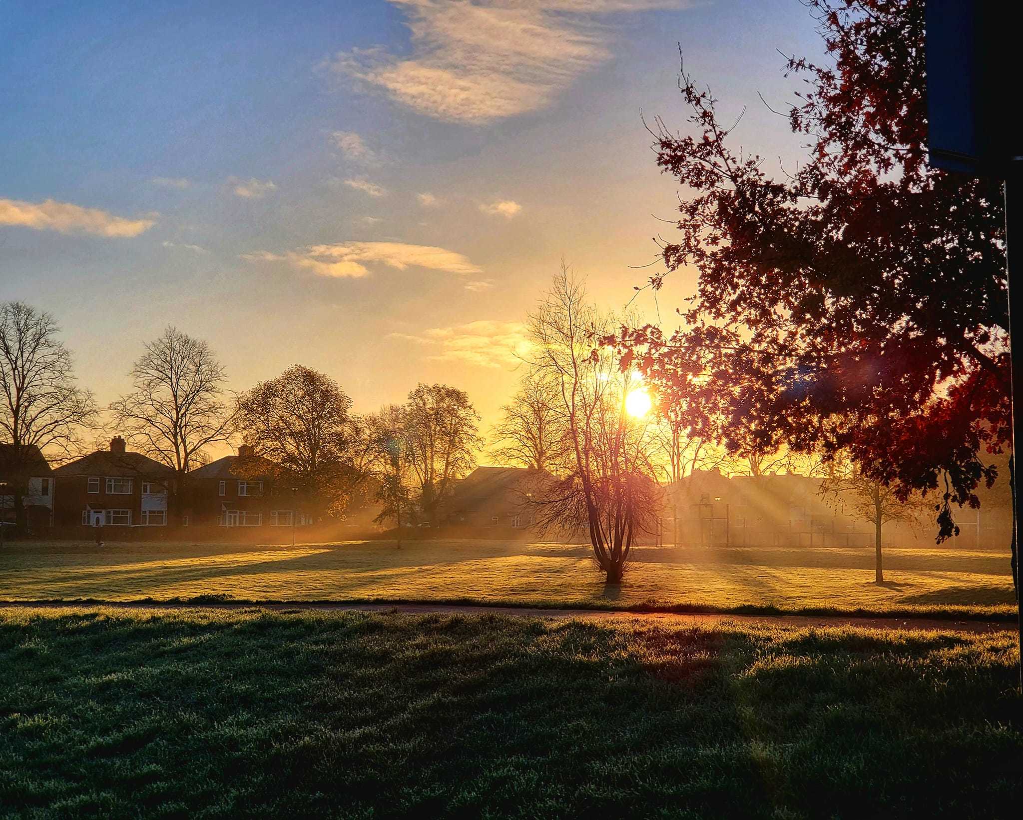 Orford Park by Tony Crawford