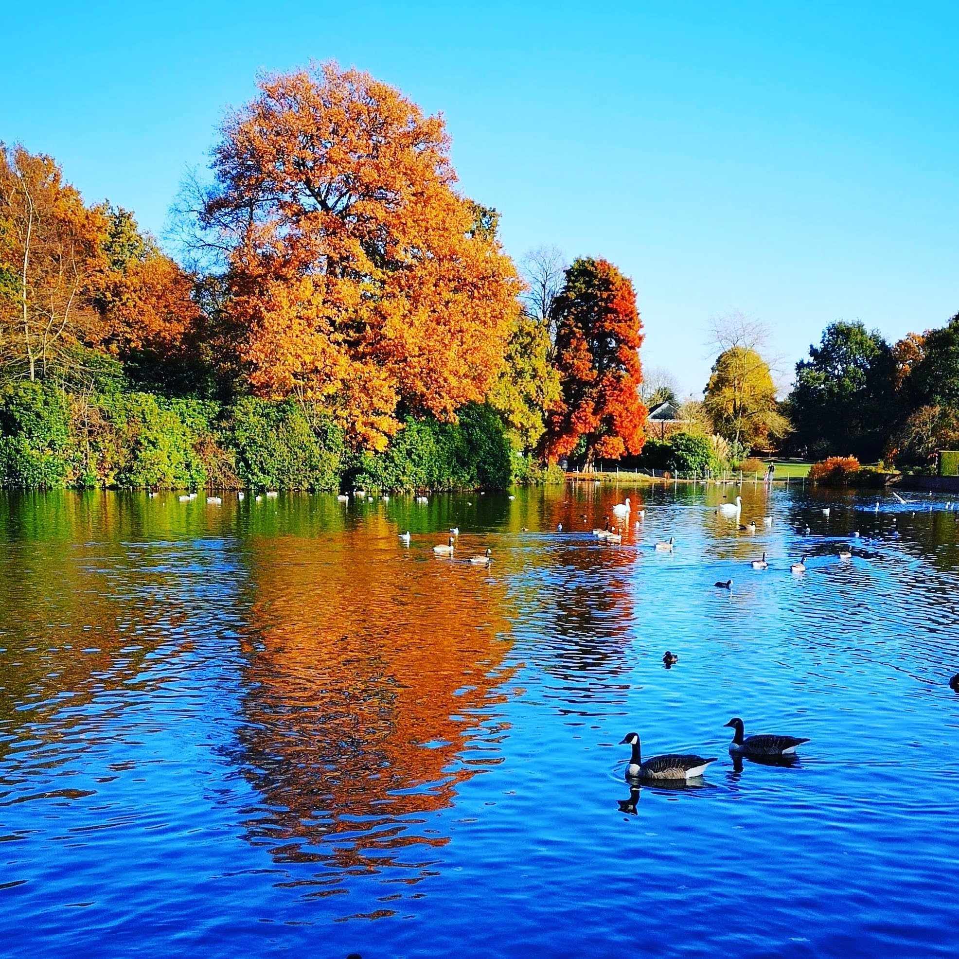 Reflections at Dunham Massey