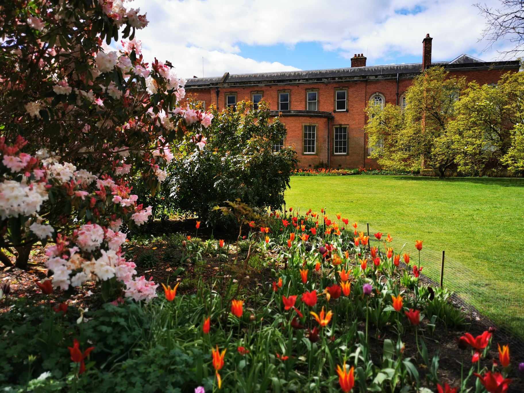 Spring in Cheshire