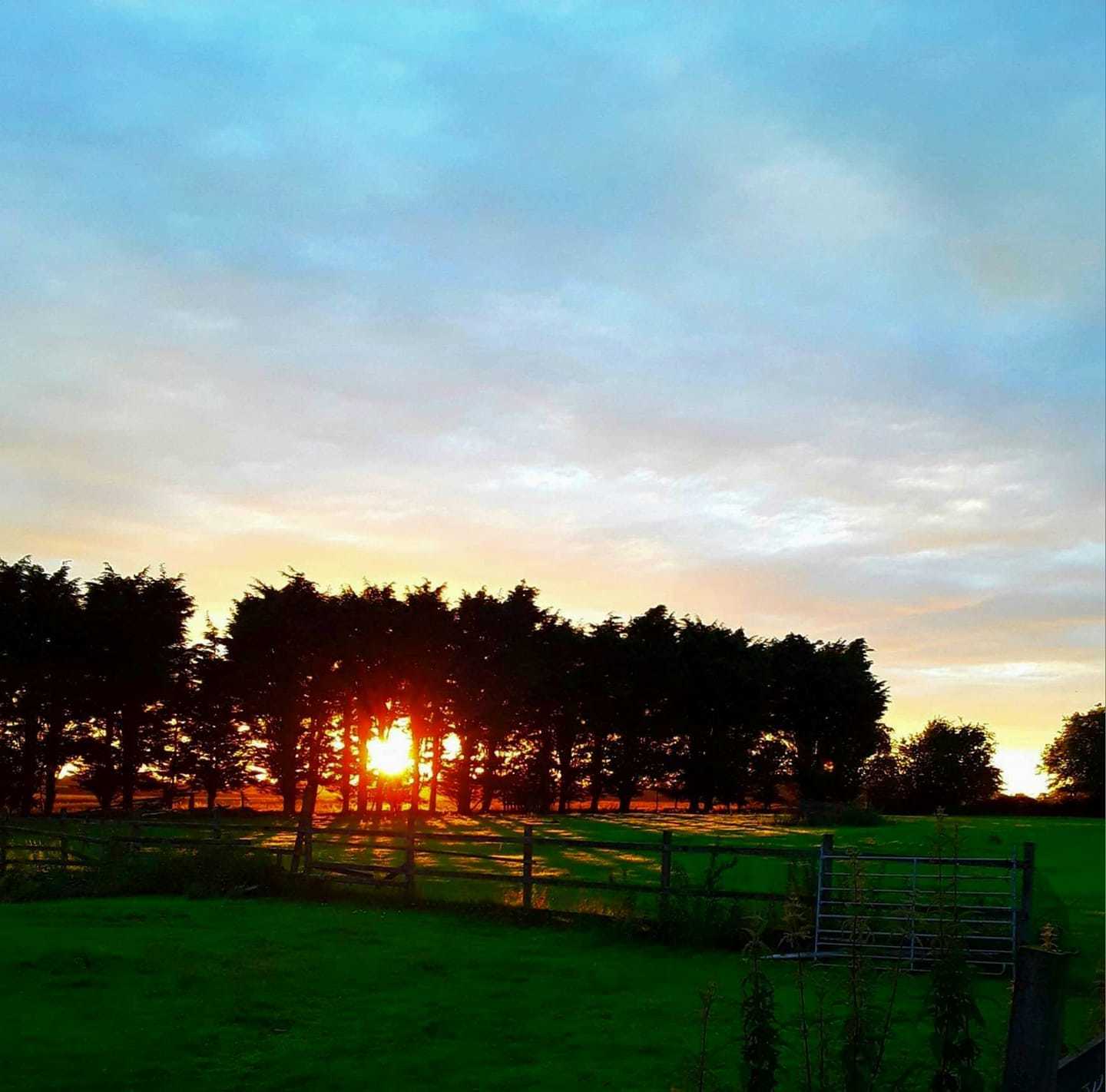 Burtonwood sunset shadows by Diane Warburton